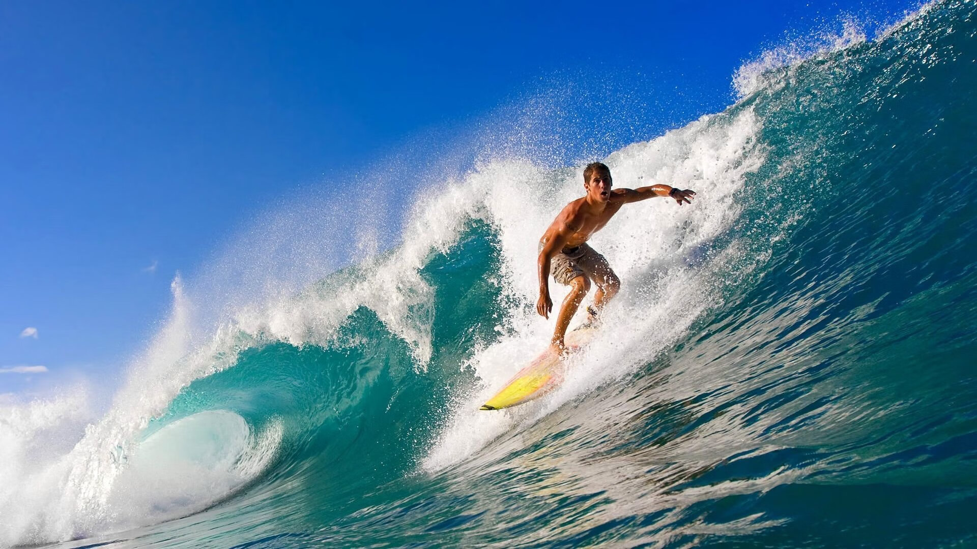 凯蒂·莱德基耐力训练成果显著，莱德基多强